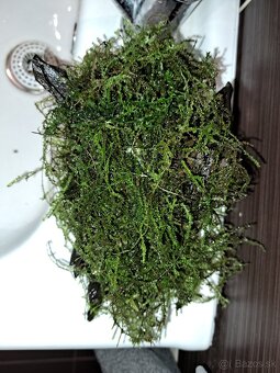 Koreň s machom do akvária - 2