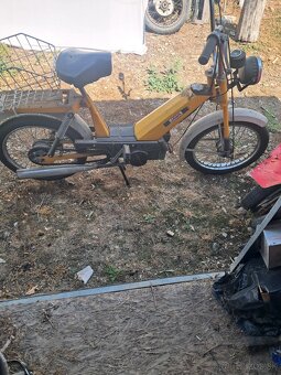 Babeta 207 - 2