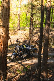Kawasaki Vulcan 1600 Classic - 2