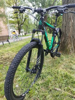 Bicykel Ctm Flag - 2