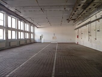 Výrobno - skladové priestory na prenájom - Trenčín - 2