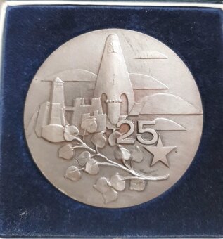 Medaila Východný vojenský okruh - 2