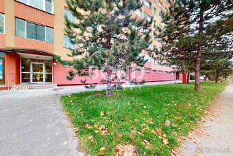 PRIPRAVUJEME, priestranný 4-izbový byt s lodžiou na začiatku - 2