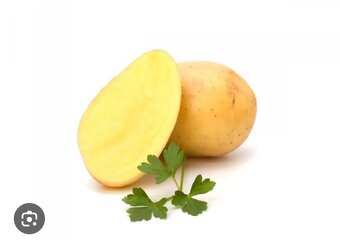 Predám zemiaky odrody Megan a Soraya - 2