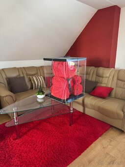 Veľký Maco z Ruží - 2