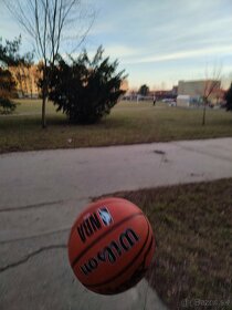 Basketbalová lopta - 2