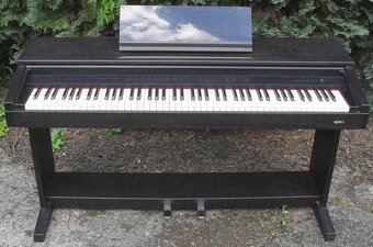 Digitální piano DEX 1000 - 2