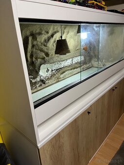 Terarium - 2
