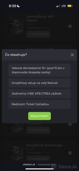 Vibe festival 2 dňový listok - 2