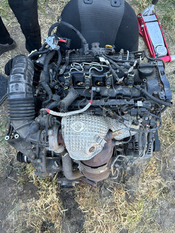 Predam motor pre KIA/HYUNDAI 1.4CRDI 66kW D4FC EURO6 2015 - 2