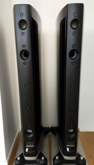 Raidho C2.1 Reproduktory - 2