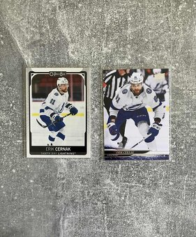 Hokejové kartičky Slováci v NHL - 2