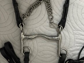 Drezurna uzda a páka 12,5 cm - 2