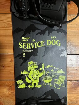 Rome Service Dog 153 - 2