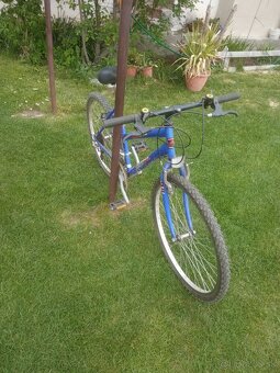 Dámsky bicykel Alpha - 2