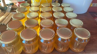 Predám včelí med agátový lipový kvetový pastovaný - 2