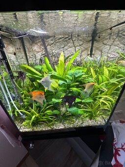 Predám set aquaell glossy cube 100 - 2