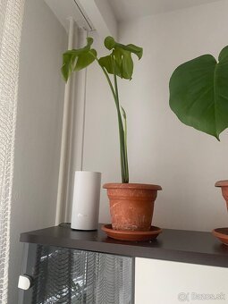 Mlade monstery kto má záujem? - 2