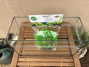 Akvarium + nová umelá rastlina - 2