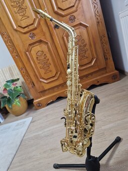 Selmer Axos - 2