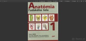 PDF učebnice anatómie (s možnosťou vyhľadávania v texte) - 2