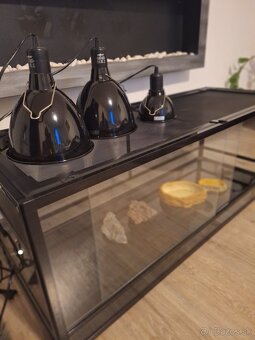 Terarium - 2