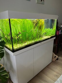 Juwel RIO 240 LED - 2