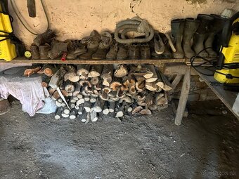 Palivove drevo, suche - 2