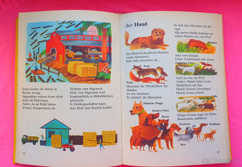 Môj veľký detský lexikon - 2