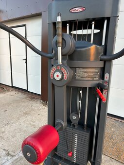 Panatta multi hip - stroj na zadok - 2