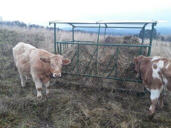 Krmelec pre zvierata - 2