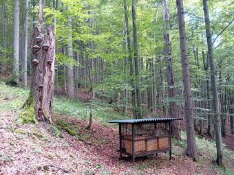 Predám agátový med - 2