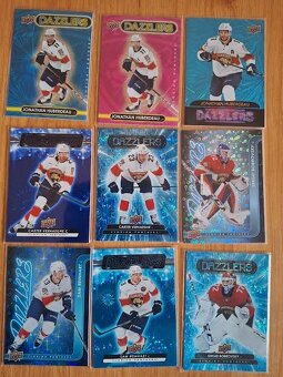 Hokejove karty,kartičky Florida Panthers - dazzlers - 2