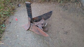 Hrobkovavia radlica - 2