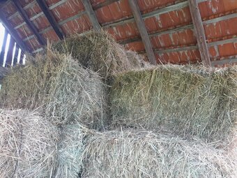 Seno malé balíky - 2