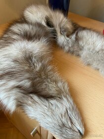 Golier z líšky - 2