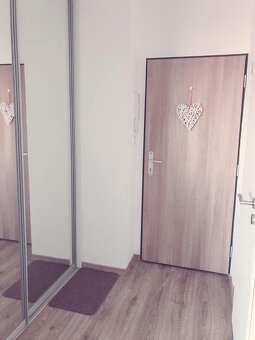 1-izbový apartmán-Rezidencia Draždiak - 2