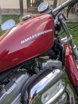 Sportster 883 - 2
