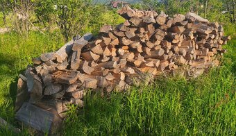 Predam suche palivove drevo - 2