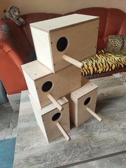 Búdka, búdky, agapornis, Andulka - 2