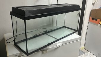Akvarium - 2