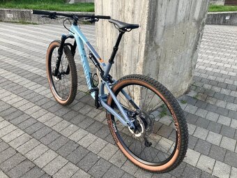 Canyon neuron 7 (2023), M - 2