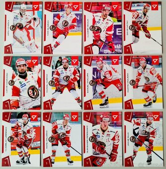 Hokejové kartičky SLOVENSKÁ HOKEJOVÁ LIGA 24/25 - HC PREŠOV - 2