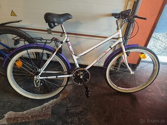 Dámsky bicykel - 2