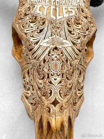 Ručne vyrezávaná lebka býka Harley Davidson, 54cm - 2