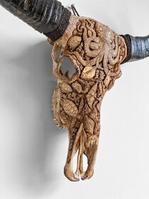 Skull Art - Ručne vyrezávaná lebka vodného byvola 87cm - 2