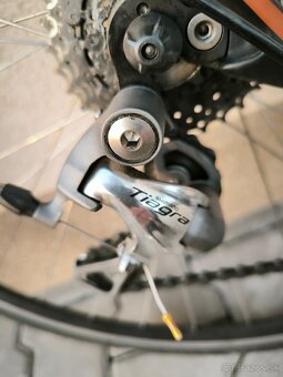 Felt z6 - 2