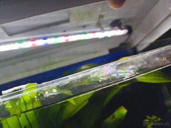 Predám akvarium - 2