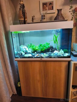 Predám akvárium - 2