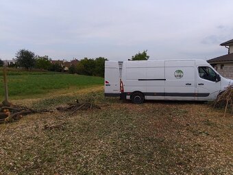 Rez a výrub stromov, arboristika - 2